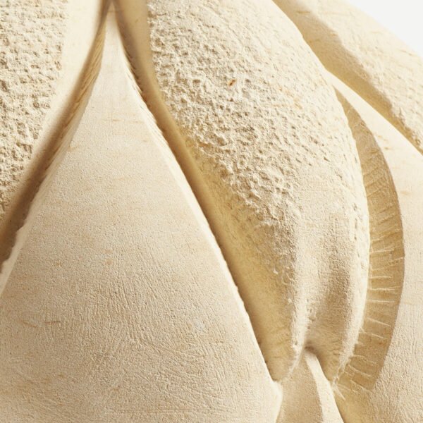 Bulb - Maltese Limestone - Amanda Randall Sculpture